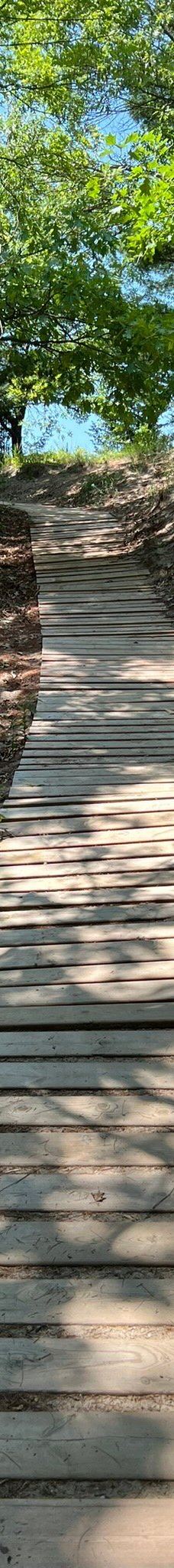 Pinery Provincial Park-大本德