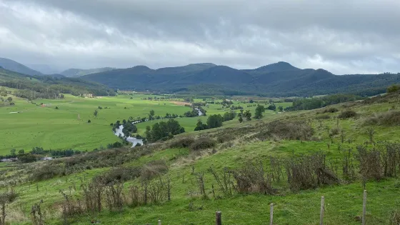 Leven Canyon