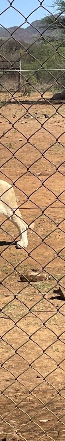 Predator World-Bojanala