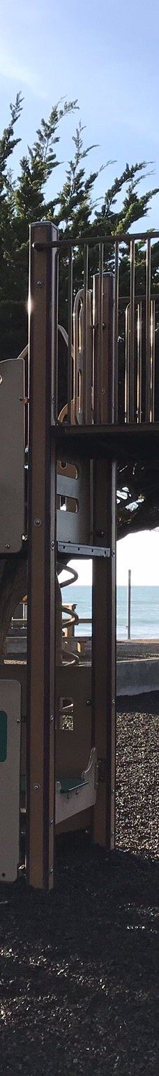 Shamel Park-坎布里亚