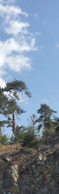 奥林匹斯山-特罗多斯山