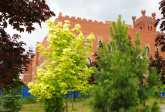 Italian Garden景点图片