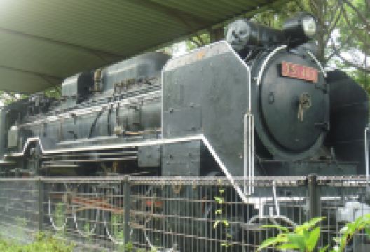 D51403号景点图片