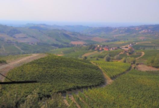 Marchesi di Montalto s.s.Agricola景点图片