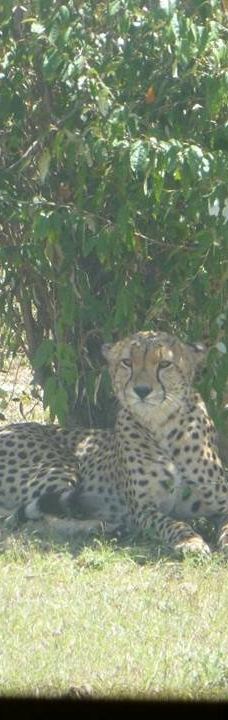 Adventure Africa Expedition-内罗毕