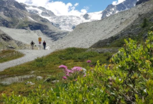 Moiry Glacier景点图片