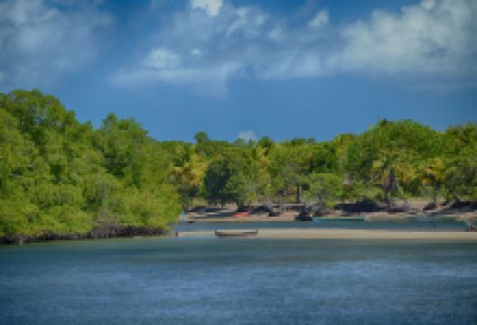 Rio Carapitangui景点图片