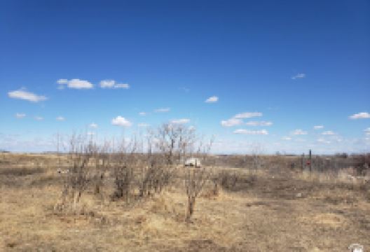 Manitou Beach Dog Park景点图片