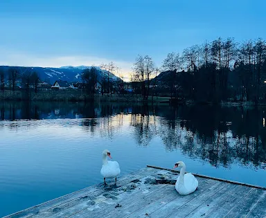 Vassacher See