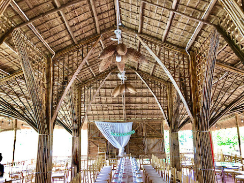 Khu Sinh Thái Cây Nơi