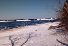 Eagle Harbor Red Pine Dunes Nature Sanctuary景点图片