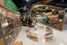 Jurica-Suchy Nature Museum景点图片