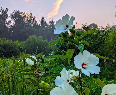 Edwin M. Griffin Nature Preserve