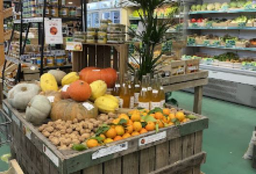 Jardinerie Atlantic Vert Machecoul购物图片