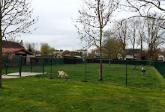 Hondenweide Bloemhof景点图片