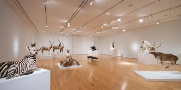 Paul and Lulu Hilliard University Art Museum