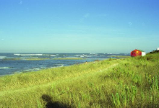 Grande Plage景点图片