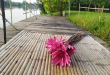 Bang Taen Riverside Campground景点图片