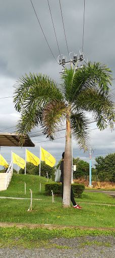 Parador Fotográfico - Chame-查梅