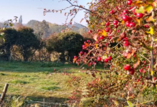 Tasburgh Hillfort景点图片