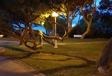 Parque Atlantico景点图片
