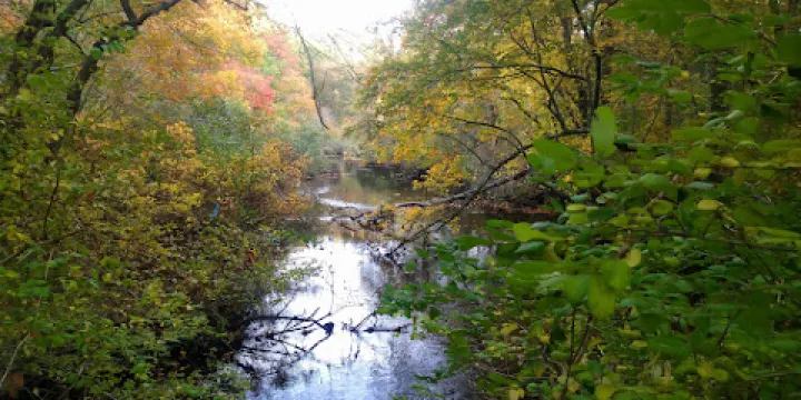 Mashpee River Reservation