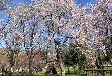 Kimobetsu Chomin Park景点图片