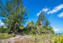 Marae Maha'i-Atea景点图片