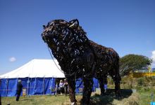 IOM Southern District Agricultural Show景点图片