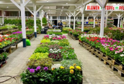 Polnische Garten Center购物图片