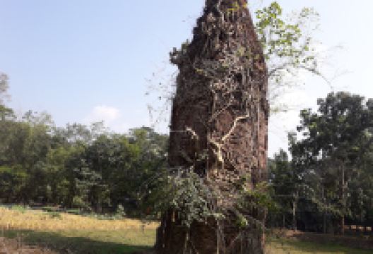 British Hindu Temple景点图片