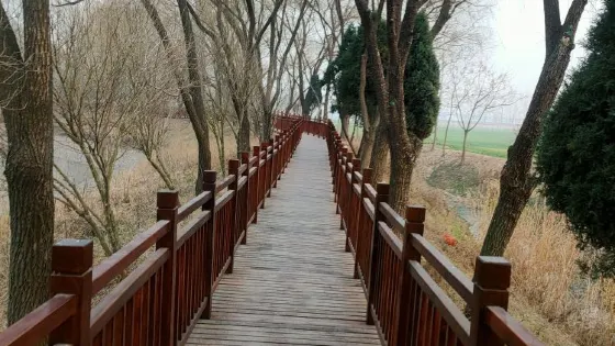 雪楓公園