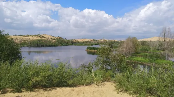 白沙湖景區第一觀景台