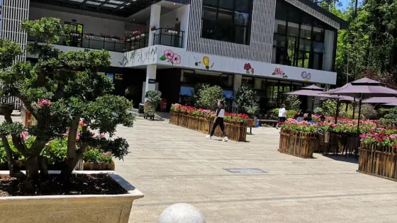 九龍山森林公園