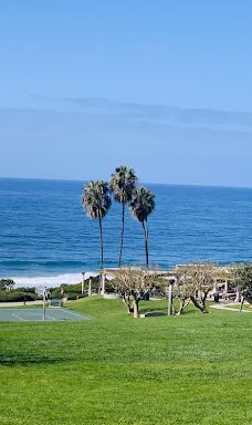 Salt Creek Beach-达纳点