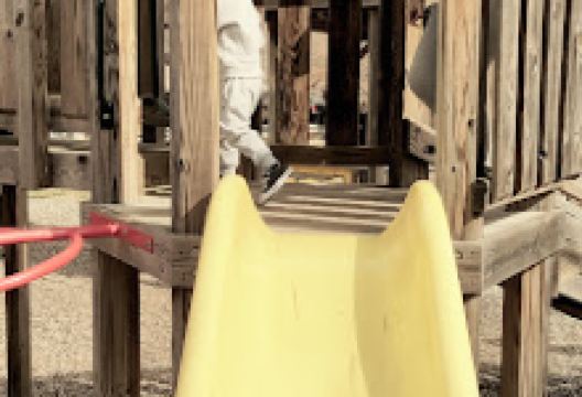 Town Hall Park & Playground景点图片