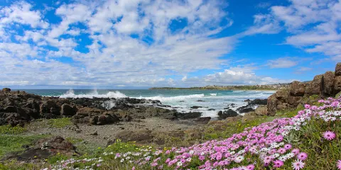 Bombo Beach