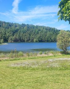 Stausee Oberwald-卡伦贝格