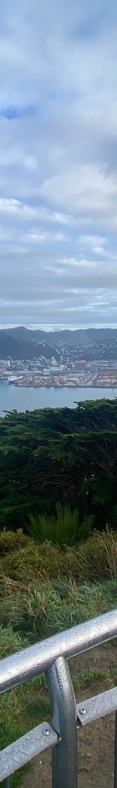 维多利亚山-惠灵顿