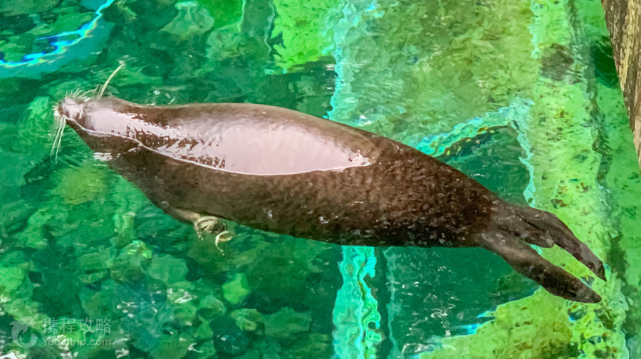 箱根園水族館