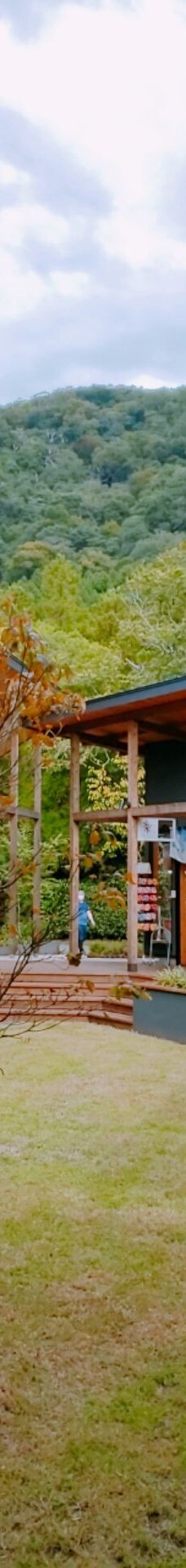 汤之坪街道-由布市