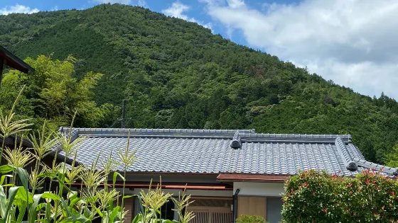 近露王子