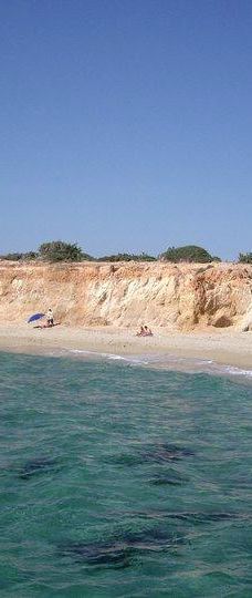 Cedar Forest of Alyko-纳克索斯