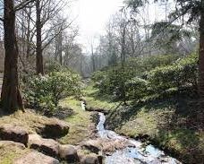 Geografisk Have-科灵