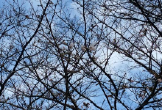 乳待坊公园景点图片