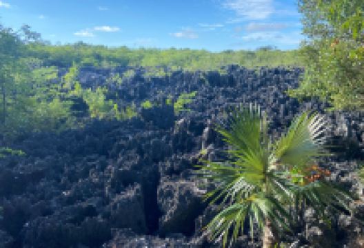 Native Way Watersports景点图片