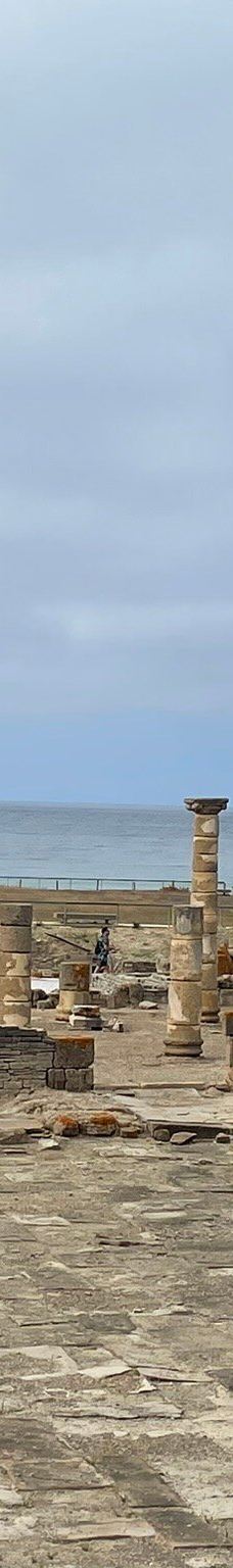 巴埃洛克劳狄亚-塔里法