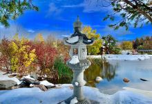 Japanese Gardens景点图片