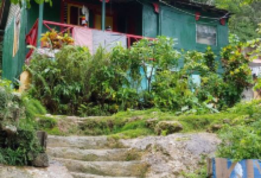 Marcus Garvey Birthplace景点图片