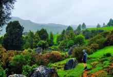 Mangapohue Natural Bridge景点图片